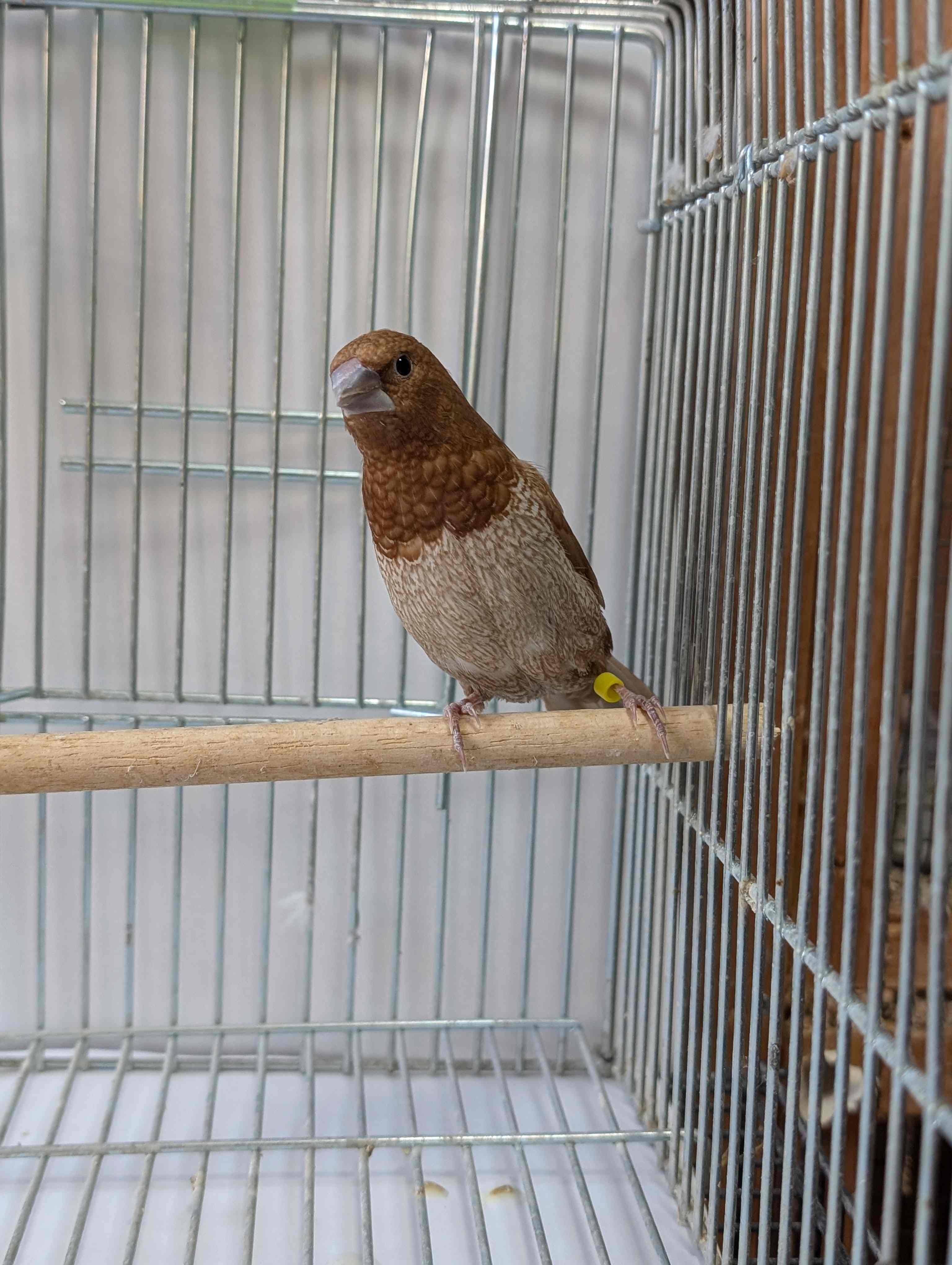 [bpWEV}c@ZttH[@IX24NY