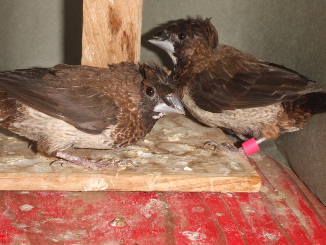 �|���@�\�o���@�y�A�@�Y���E�琗����