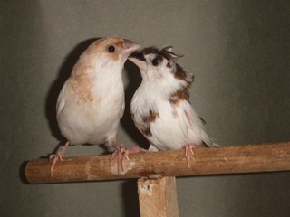 �\�o��PA�@�R�L���`���E�p����R�L�������Ɉ�Ă��΂���ł��B