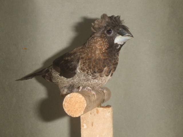 �V���@���V�W���E�V�}�c�@�I�XA