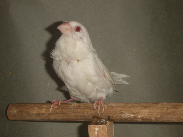 �|���@���c�@�������A���r�m�@���X�@�Y���E�琗�o������