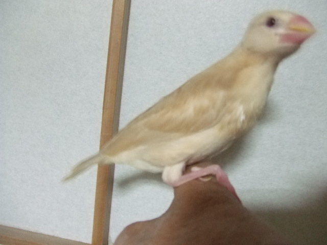 ����������N���[���Ԃ񂿂傤�@�Ђ�