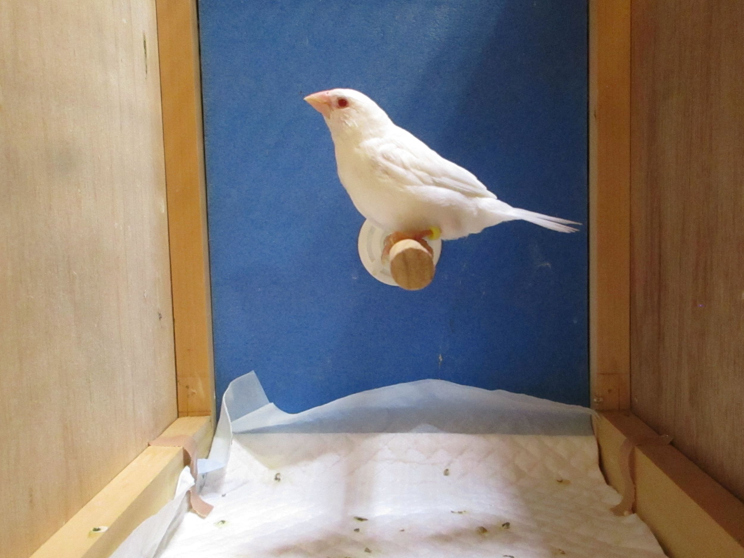 �\�o���A���r�m��