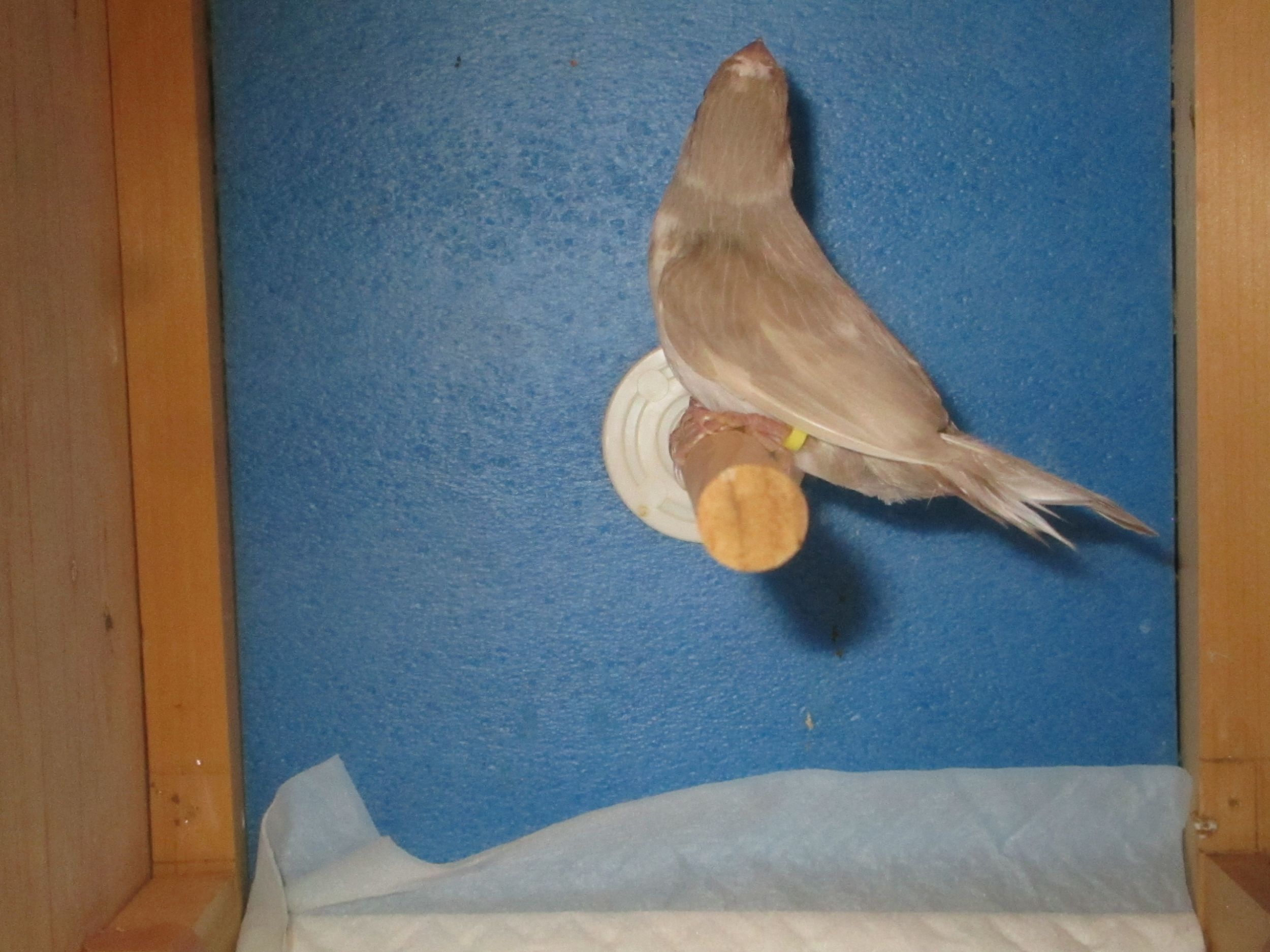 �\�o����