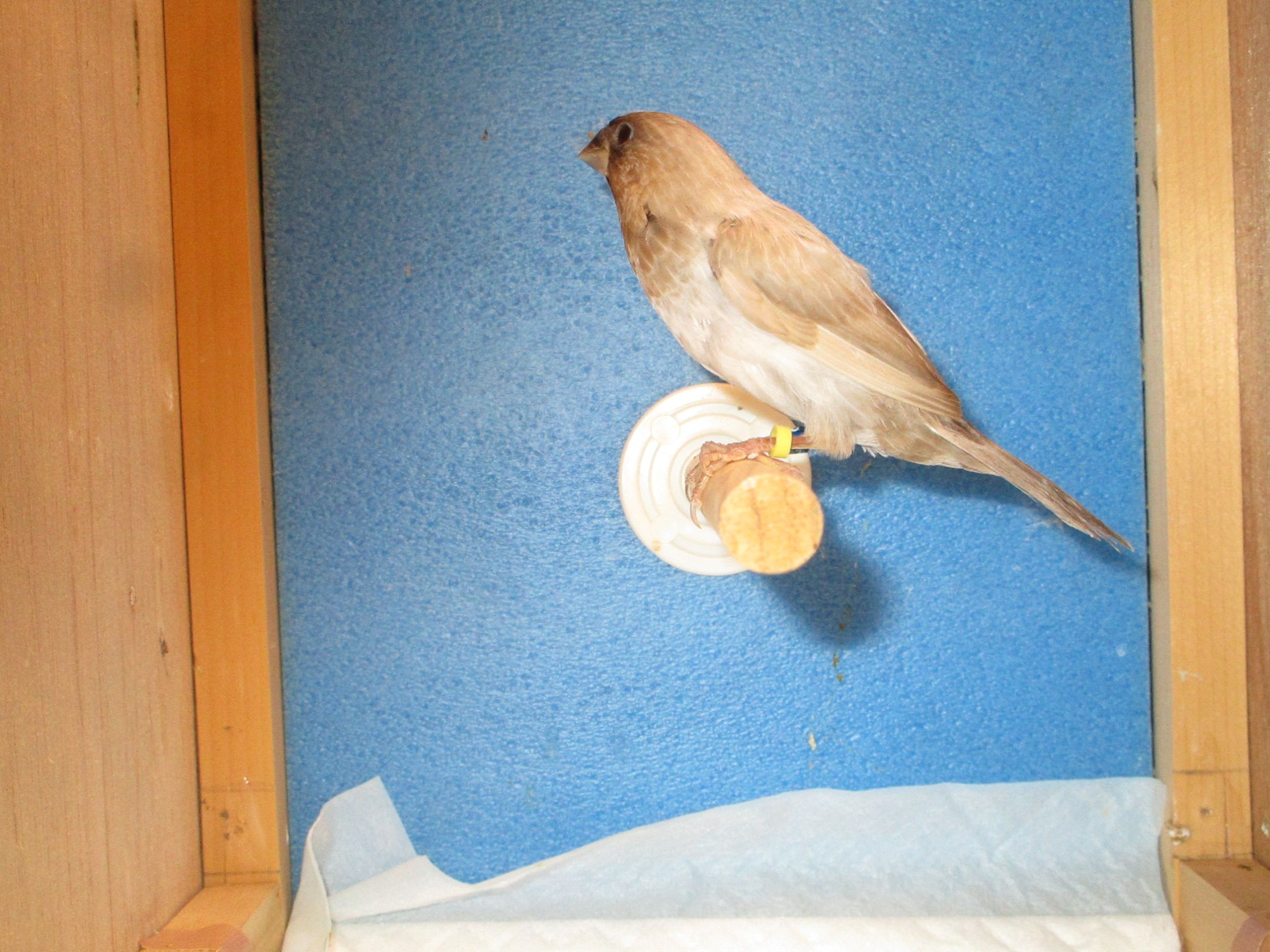 �\�o�����A