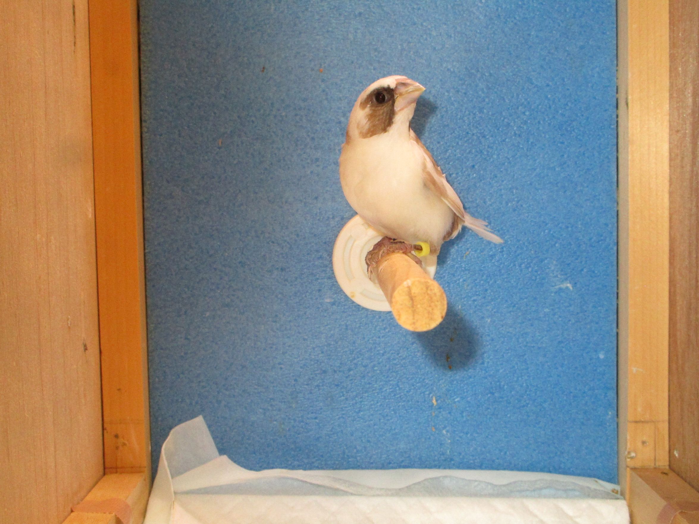 �\�o�����B