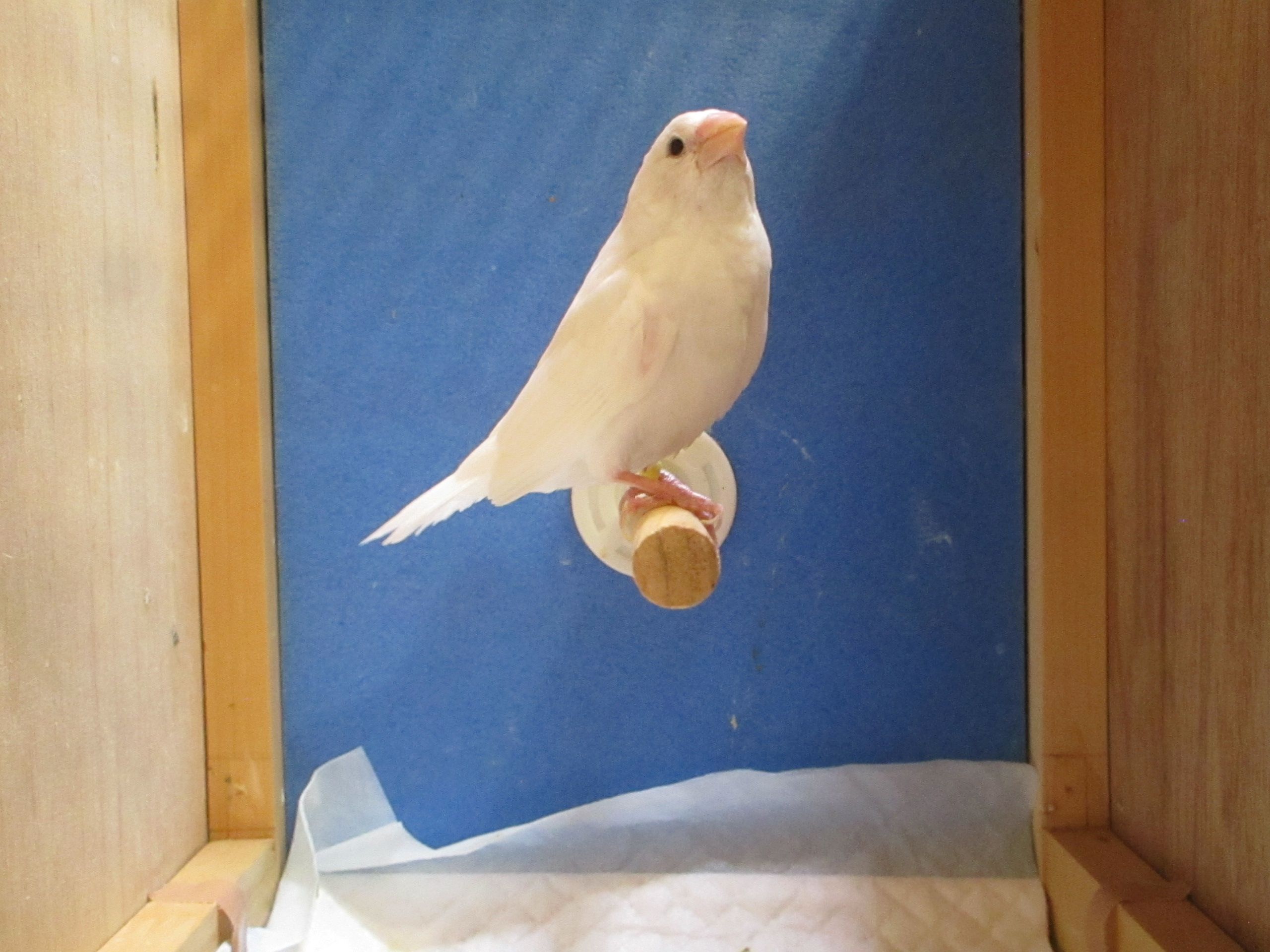 �\�o�����C