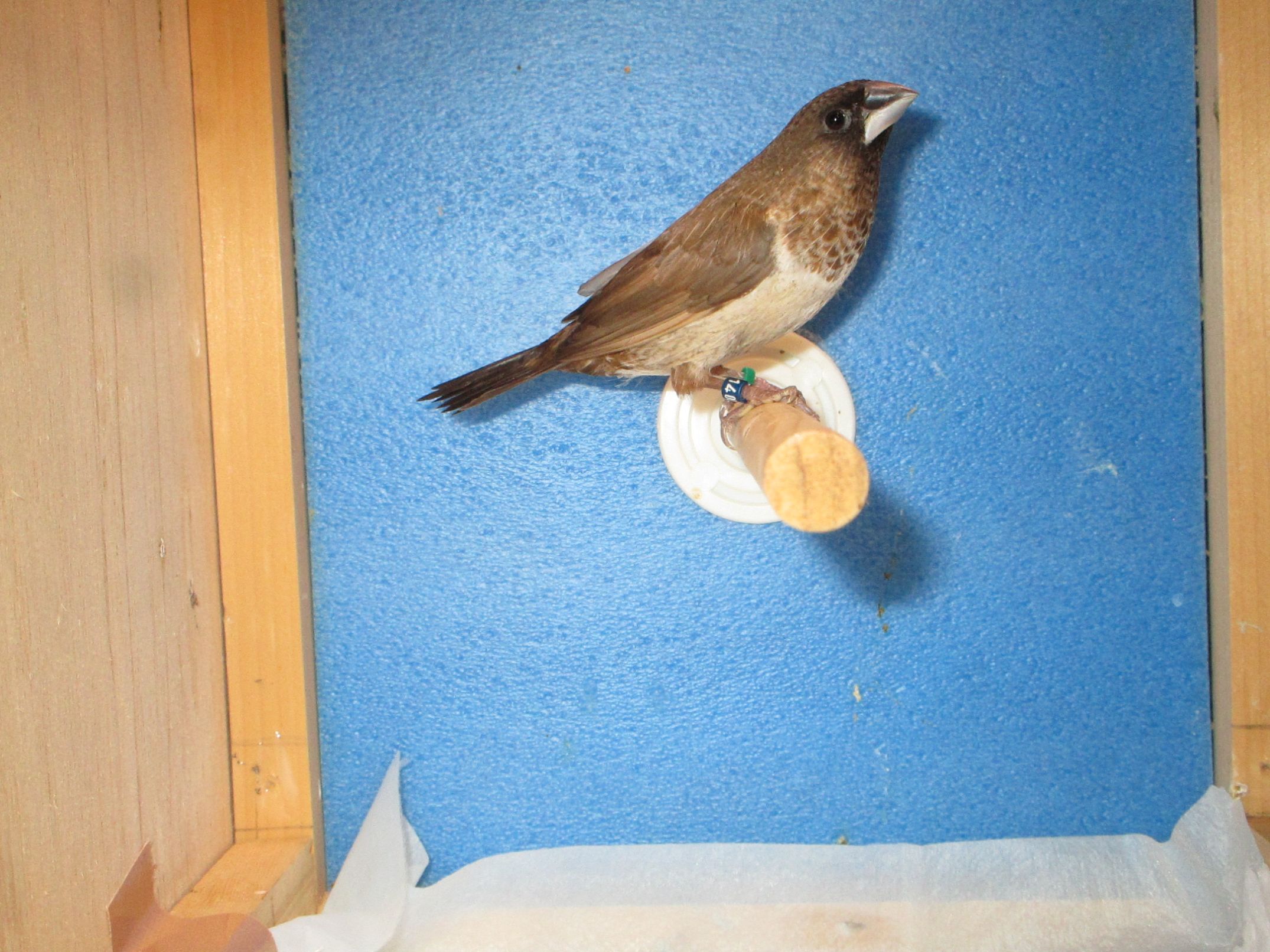 �\�o����F����