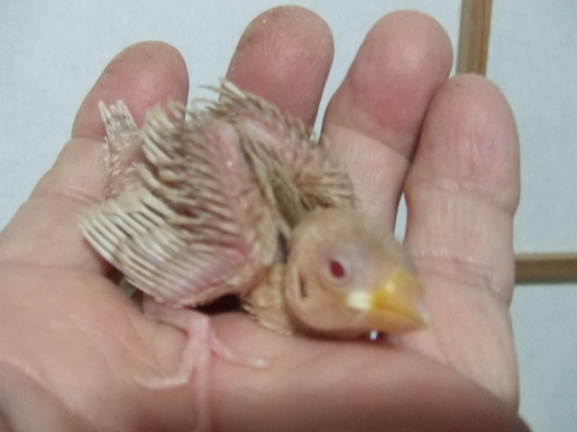 �������@����N���[���Ԃ񂿂傤